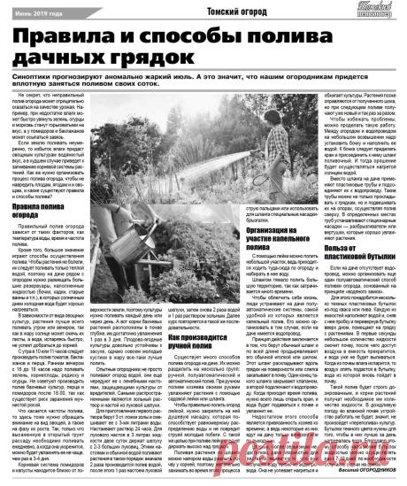 Правила и способы полива дачных грядок
