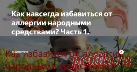 Как навсегда избавиться от аллергии народными средствами? Часть 1. Множество людей не знают, как определить аллерген и как избавиться от аллергии, они оказываются наиболее чувствительными к таким мелочам, как пыль, шерсть животных, пыльца, продукты питания.
У них выявляются различные признаки в виде накожных высыпаний, ринита, слезоточивости. Чтобы не подвергать себя и своих близких риску возникновения и прогрессирования болезни, необходимо знать простейшие метод