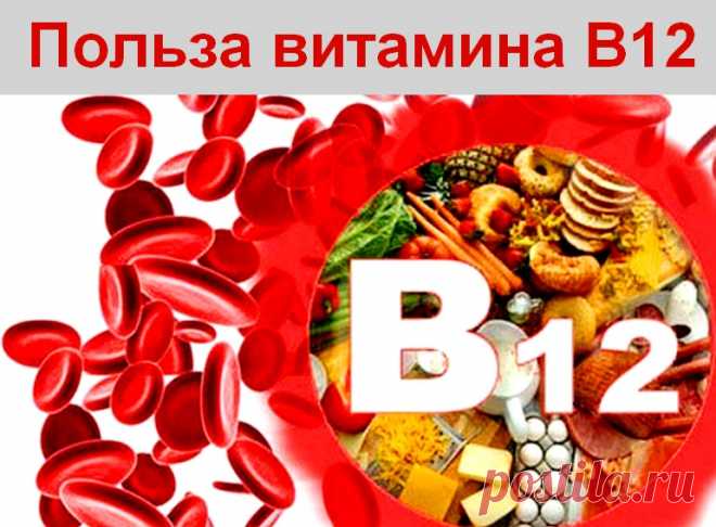 Витамин B12 - для чего он нужен организму и где содержится &raquo; Женский Мир