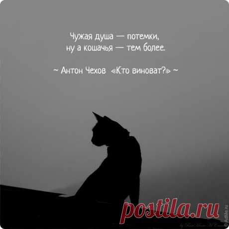 Энергия ЦИ | Полезные советы