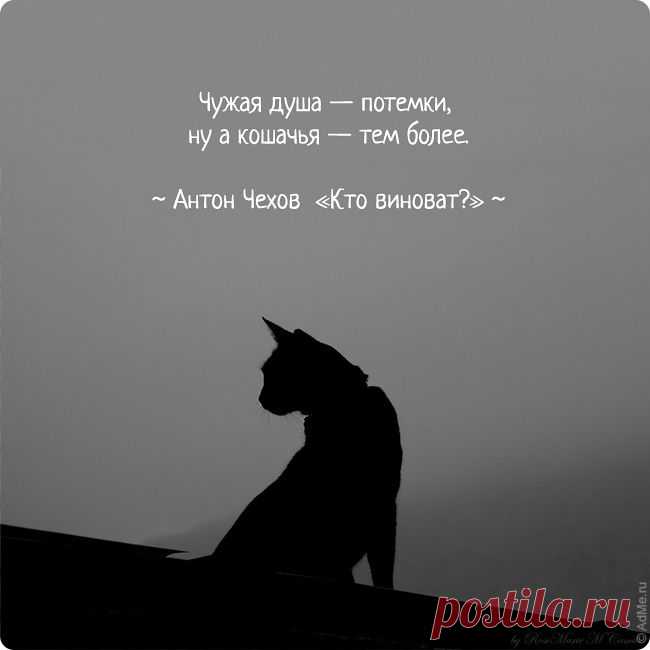 Энергия ЦИ | Полезные советы