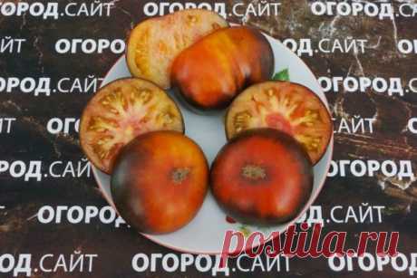 Томат Яблоко золотое, семена | ОГОРОД.сайт