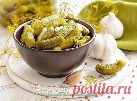 Соленые, консервированные огурцы: 8 рецептов / Здоровый аппетит