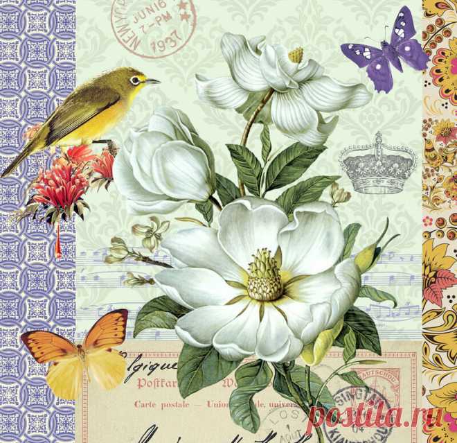 «0_fbf5d_be5c6562_XL.jpg (800×775)» — карточка пользователя Татьяна С. в Яндекс.Коллекциях