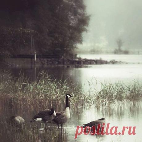 !