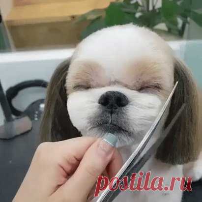 Одноклассники