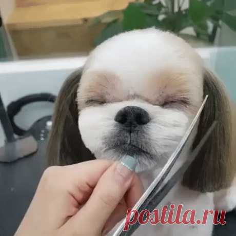 Одноклассники