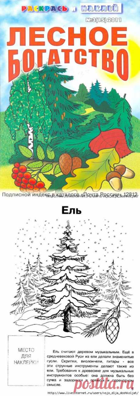 Лесное богатство - раскраска с наклейками