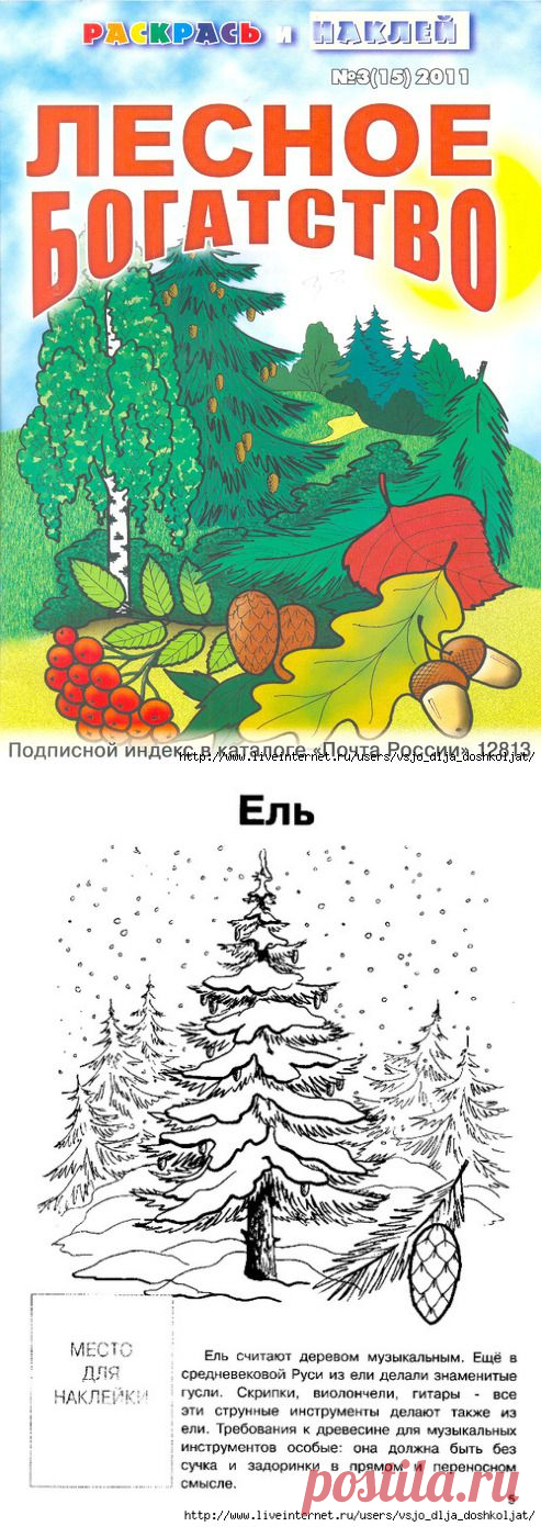 Лесное богатство - раскраска с наклейками