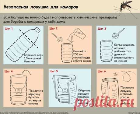 (91) Одноклассники