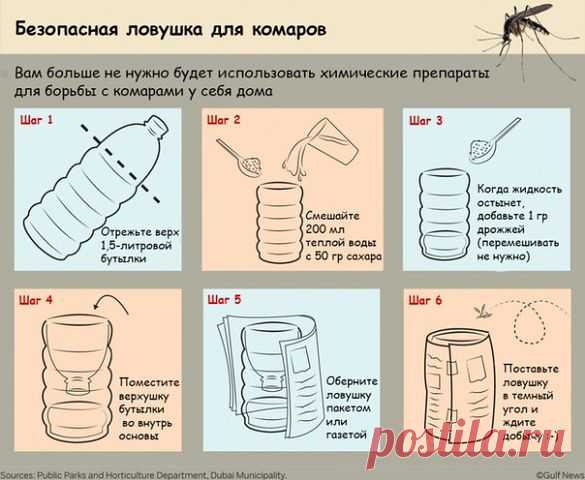 (91) Одноклассники