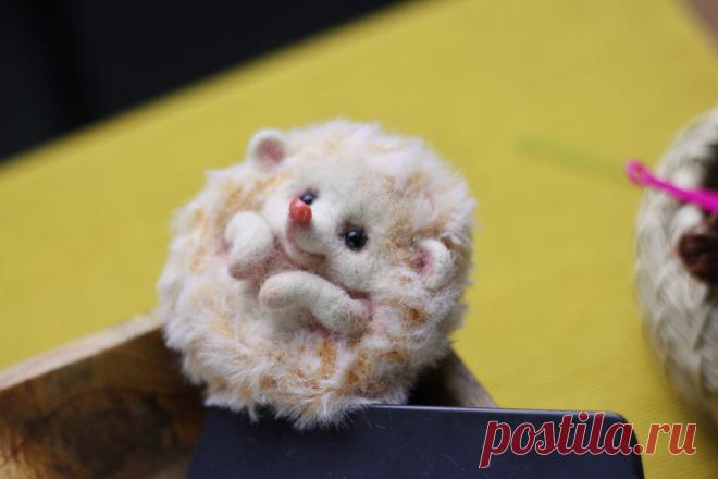 Ёжиков-альбиносов я точно ещё не делала! Делюсь простым мастер-классом для тех, кто захочет себе милого ёжика😍 | Живые вещи | Дзен