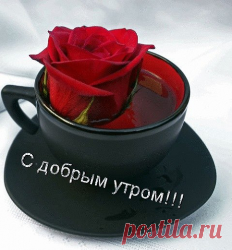 С Добрым утром.