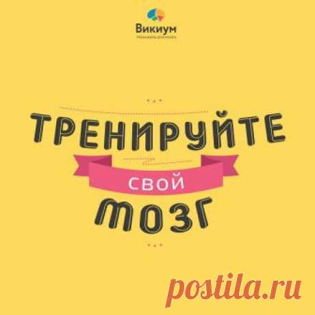 Как быстро выучить математику 🚩 как быстро выучить что либо 🚩 Школы