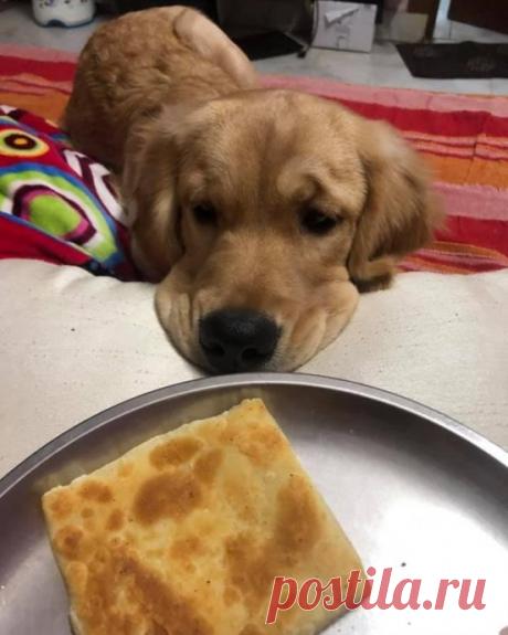 Маленьких обидеть может каждый.