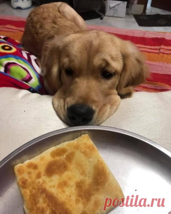 Маленьких обидеть может каждый.