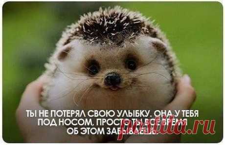 УЛЫБНИСЬ :)
https://www.surprisse.com/muscards/view/2014/05/06/c5d4bb3758490of6d2cfd5a41d6064dl.php

УЛЫБНИСЬ :)
УЛЫБНИСЬ :) Ты улыбайся, чаще улыбайся! Тебе идет улыбка, посмотри! Ты с нею никогда не расставайся, Серьезности печать с лица сотри! Сотри с лица тревогу без причины, Заботы не утрируй и печаль, Для грусти, пессимизма и кручины Причинам ...