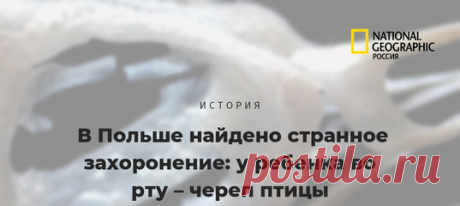 Необъяснимое захоронение девочки с черепом зяблика во рту было обнаружено ещё в прошлом веке, но за многие годы учёные так и не добрались до разгадки – зачем и кем это было сделано?