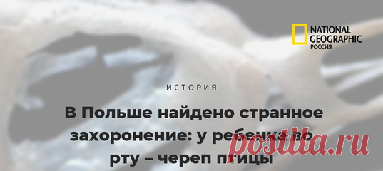 Необъяснимое захоронение девочки с черепом зяблика во рту было обнаружено ещё в прошлом веке, но за многие годы учёные так и не добрались до разгадки – зачем и кем это было сделано?