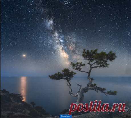 12 лучших фотографий России по версии РГО в 2019 г.