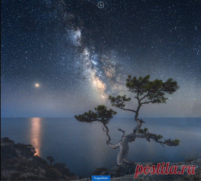 12 лучших фотографий России по версии РГО в 2019 г.