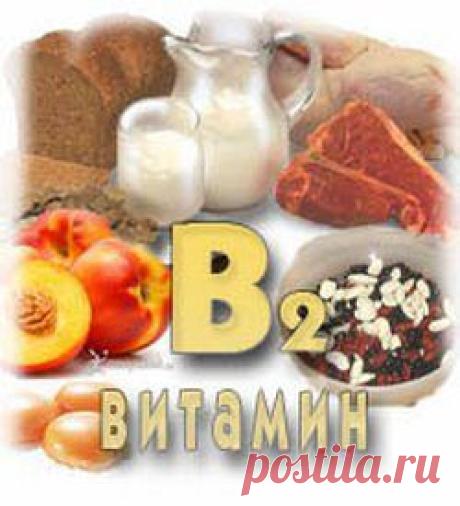 Витамины группы В и наше зрение / Будьте здоровы