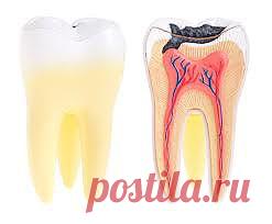 (+1) тема - Ротовая полость человека — рай для кокков и бактерий | ВСЕГДА В ФОРМЕ!