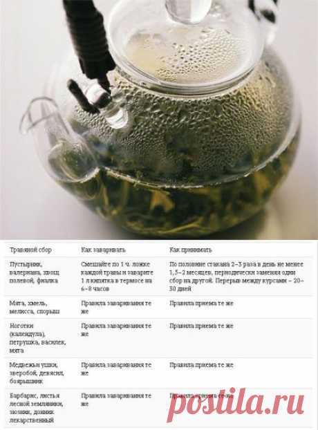 Лечение для гипертоника: Фитотерапия, прогулки перед сном, и никакой соли / Будьте здоровы