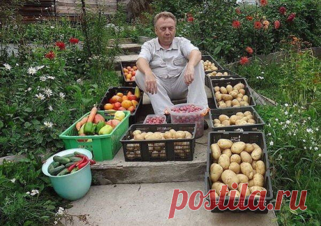 4 вида подкормок Игоря Лядова