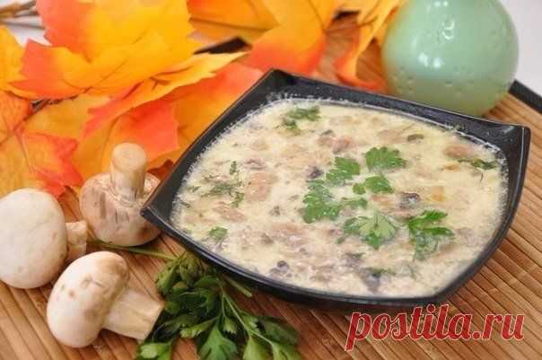 Сырный суп с грибами
