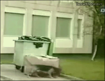Мой Мир@Mail.Ru