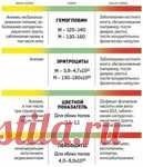 Полный анализ крови в инфографике. Полный анализ крови в инфографике. Он расскажет