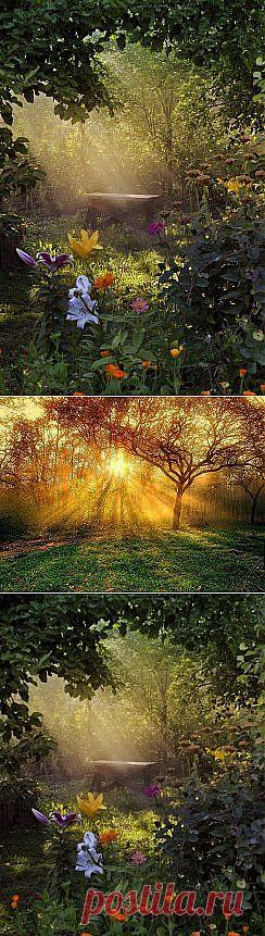 Одноклассники