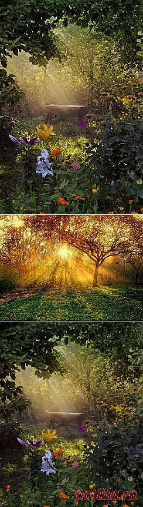 Одноклассники