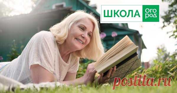 Словарь овощевода: 30 терминов, которые нужно знать, прежде чем выращивать овощи Часто в текстах на дачную тематику встречаются непонятные слова. Мы сделали подборку самых распространенных терминов с их толкованием.