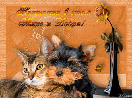 ИДЕЯ - Добра и нежности... ~ Плэйкасты ~ Beesona.Ru