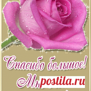 Открытки спасибо