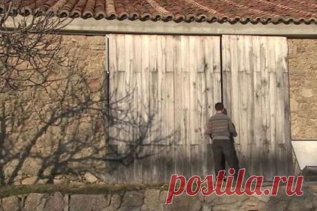 ЭТОТ ПАРЕНЬ ЖИВЕТ С СЕМЬЕЙ В ЗАБРОШЕННОМ КОРОВНИКЕ. КОГДА ОН ОТКРЫЛ ДВЕРЬ, Я АХНУЛ! – БУДЬ В ТЕМЕ