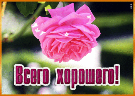Выразительная гиф-открытка, всего хорошего и прекрасного