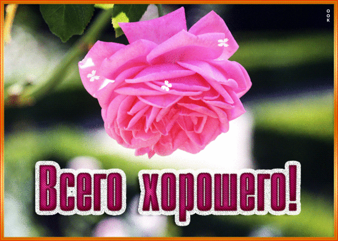 Выразительная гиф-открытка, всего хорошего и прекрасного