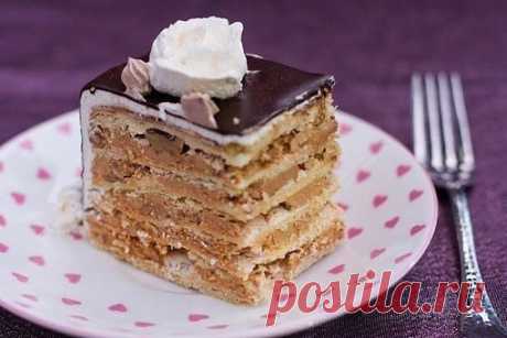 Торт "Маркиза"
Тесто:
350 гр. маргарина Golden Soft (или любого другого, но тот который я дала, самый лучший)
7 желтков
3 полных ложки сметаны
муки примерно 3.5 стакана
1 ч. л. соды + 1 ст. л. уксуса
Безе:
7 белков
2 ст. сахара
2 ст. грецких орхов (жареных, измельченых)
Крем:
2 баночки варёной/сырой (по вкусу), сгущенки
450 гр. масла комнтатной температуры
2 ст. л. какао
2 ст. л. кофе заварить с 2 ст. л. горячей воды
Приготовление:
Заренее сварить сгущенку. Для этого:
Поставить баночки сырой с