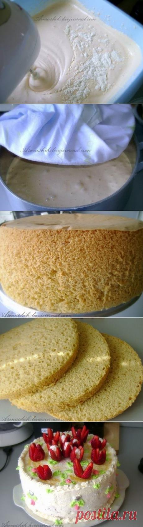 Как приготовить высокий, нежный бисквит для торта (без духовки)  - рецепт, ингридиенты и фотографии