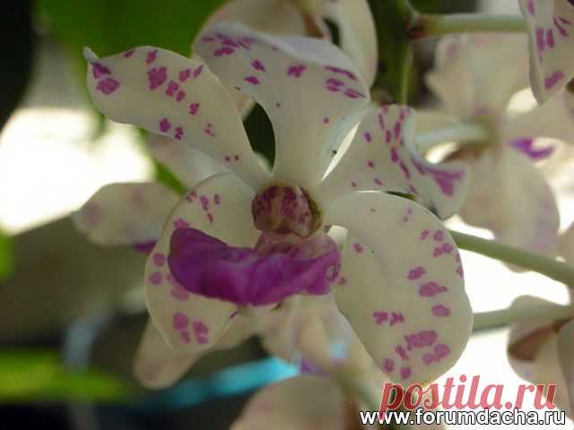23_dscn3925_1.jpg (640×480)