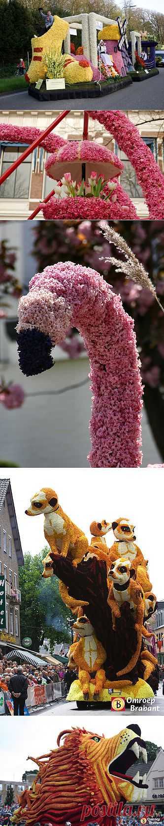 Путешественники.ru - Aalsmeer Flower Parade