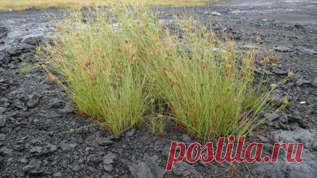 Какими бывают озёра на Земле? | Мир вокруг нас