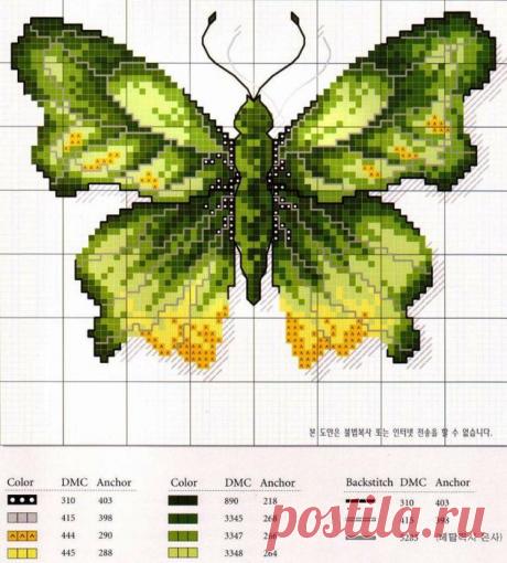 Вышивка. Бабочки.