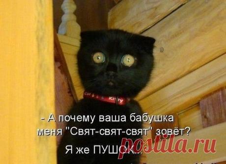 Интересные новости