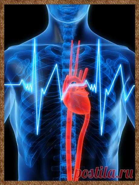 Неинвазивный анализ крови: 
Функц.показатели сердечно-сосудистой систем  Индекс сосудистой проницаемости Сердечный выброс  Интервал PQ  Интервал QT  Интервал QRS  Сокращение миокарда левого желудочка сердца  Артериальное давление систолическое  Артериальное давление диастолическое  Плотность плазмы  Работа сердца
