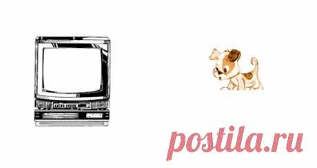 ⌘ ЗАРЯДКА ДЛЯ ГЛАЗ ⌘

Верни мультяшку в телевизор!

Перед вами одно из сильнейших упражнений для тренировки зрительной системой и осознанного управления мышцами глаз.
Показать полностью...