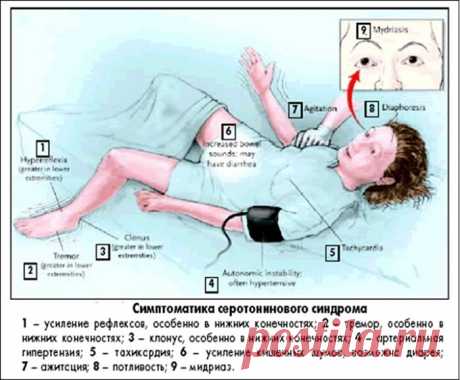 Полезные свойства и противопоказания чистотела